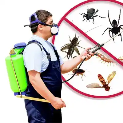 pest control Towson